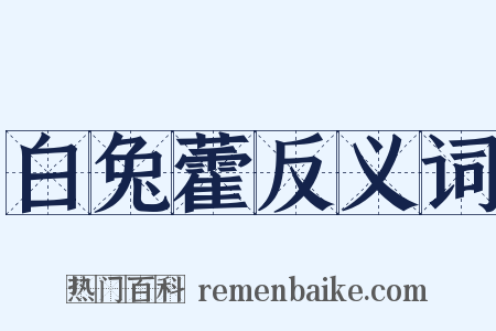 白兔藿反义词是什么意思的图片